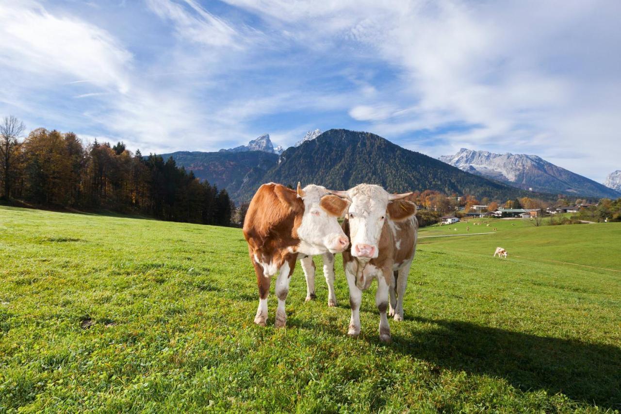 Vila Gaestehaus Untersulzberglehen Schönau am Königssee Exteriér fotografie